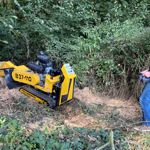 B37-110 RC stump grinder (2)